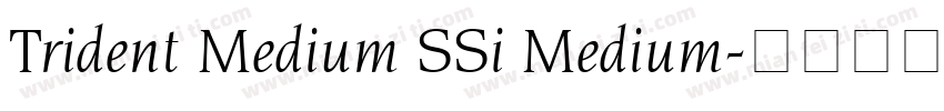 Trident Medium SSi Medium字体转换